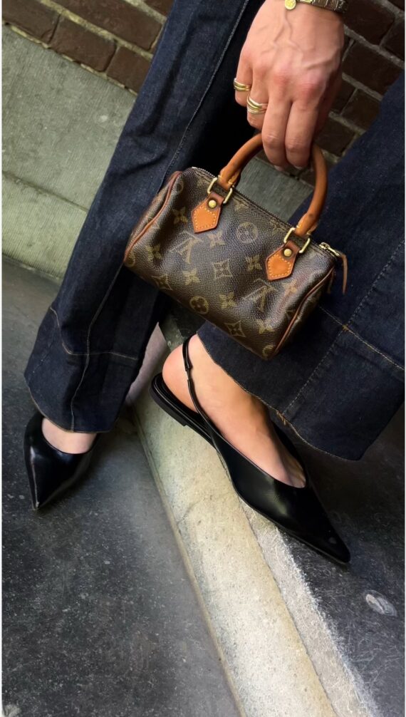 Louis Vuitton speedy nano
