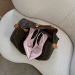 Louis Vuitton Speedy 40